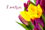 Colorful Minimalist Photo Flowers Wish Women's Day Greeting Card (3)